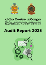 Audit Report 2025